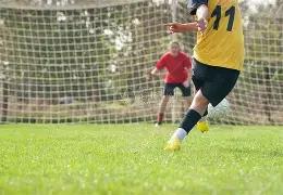 明星荒岛历,险记,天求生记,电竞竞猜官网,电子竞技竞猜平台,电竞竞猜官方网站,电竞体育竞猜平台