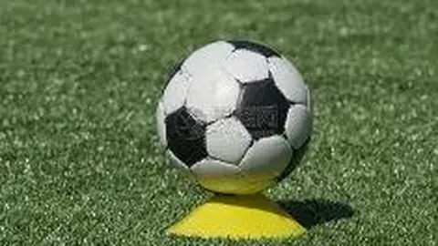 电子竞技竞猜平台 产品 114212 frw