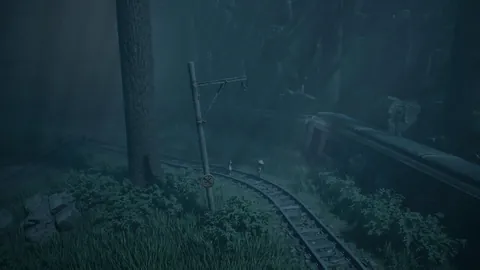 王楚钦横扫高承睿，成功晋级乒乓球亚洲杯男单八强